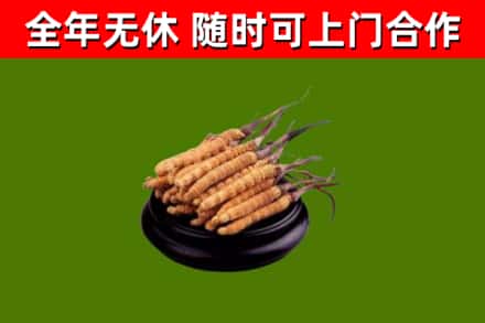 兴仁市烟酒回收冬虫夏草.jpg